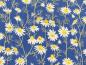 Preview: Hedgehog Hollow Blumen Gänseblümchen Daisies blau von In the Beginning